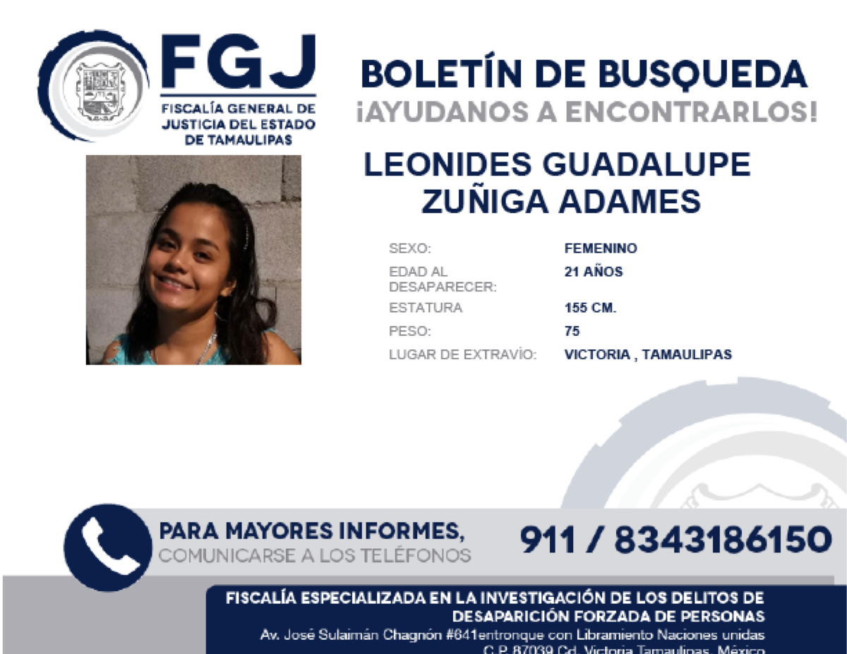 Boletín de Búsqueda Leonides